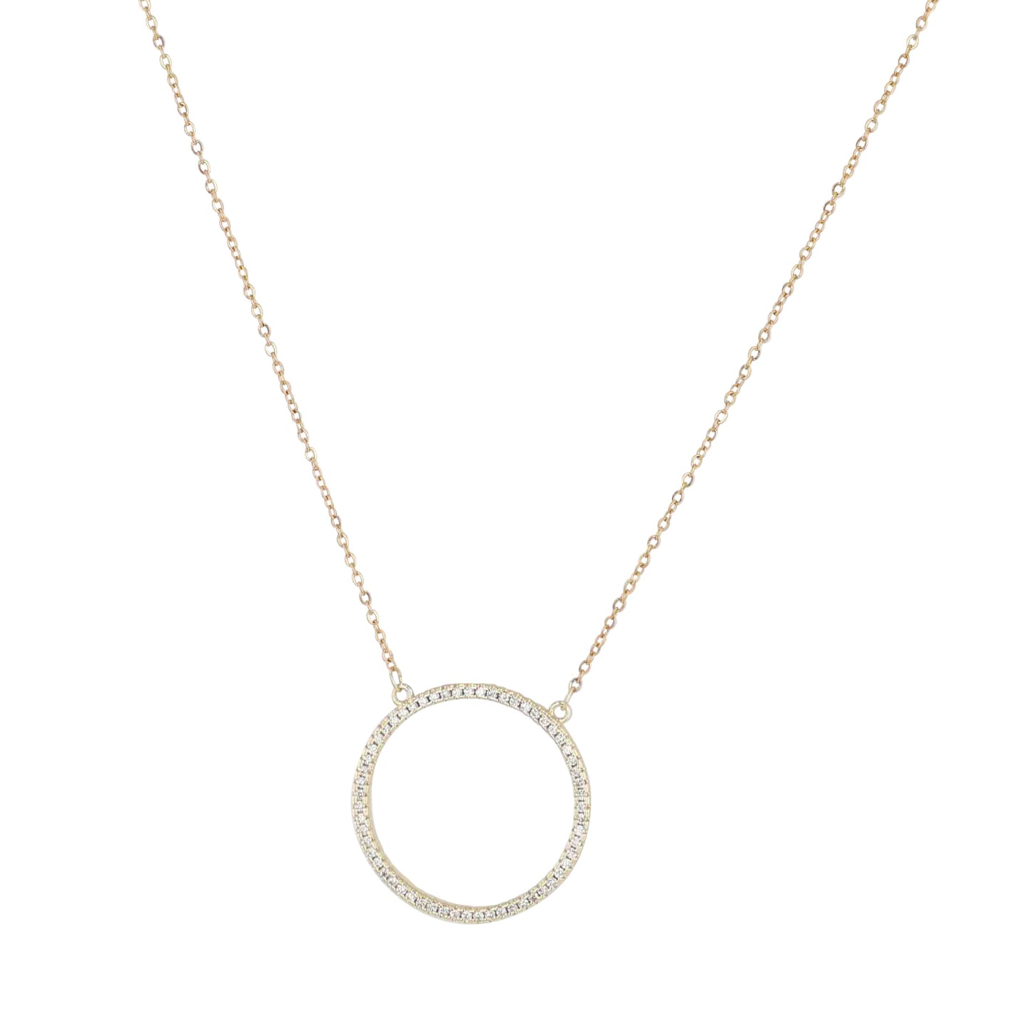 שרשרת מעגל החיים