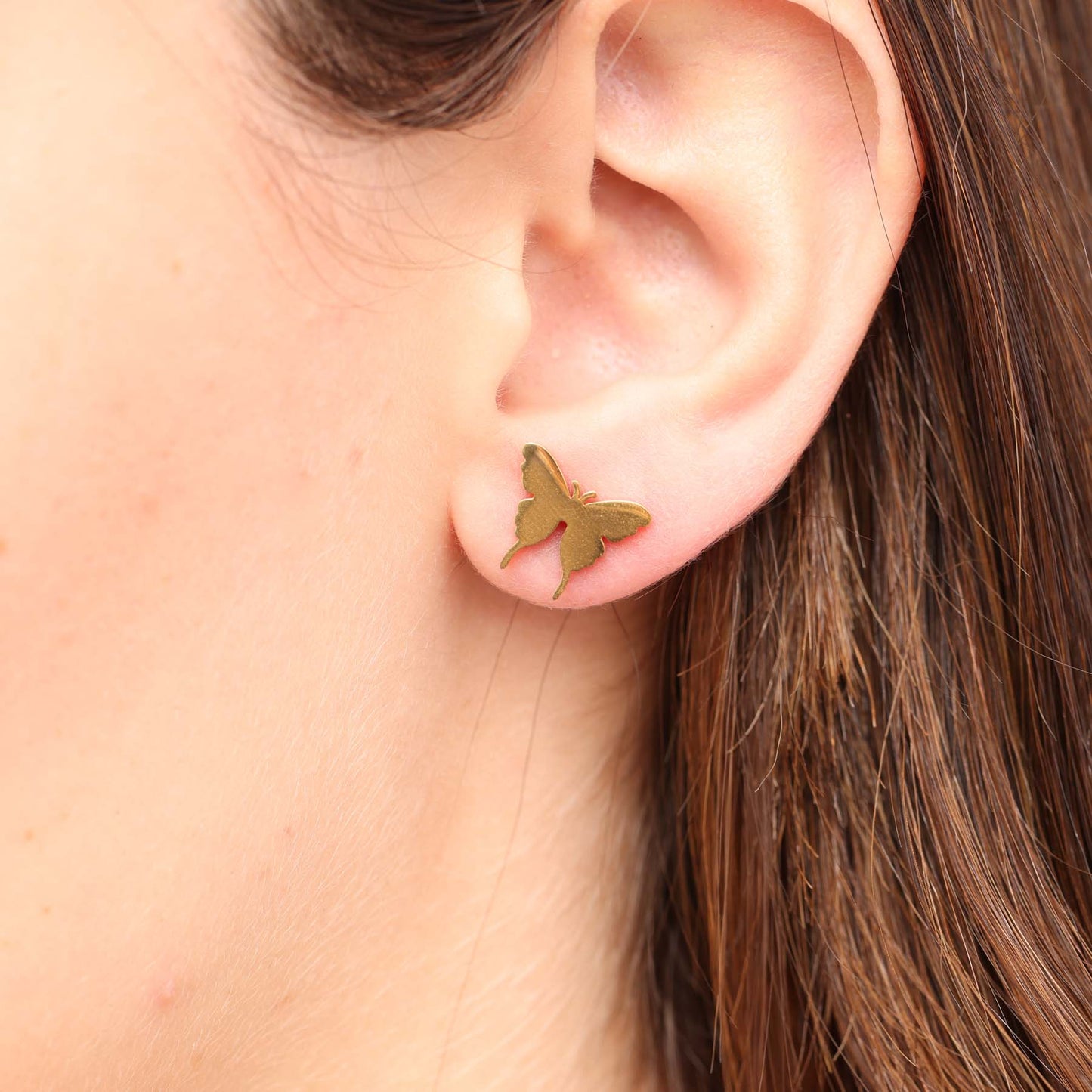 עגילים צמודים פרפר